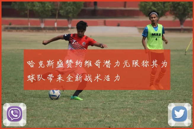 哈克斯盛赞约维奇潜力无限称其为球队带来全新战术活力
