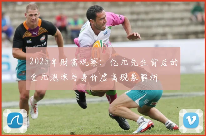 2025年财富观察：亿元先生背后的金元泡沫与身价虚高现象解析