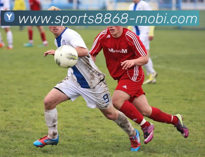 多媒体互动体验